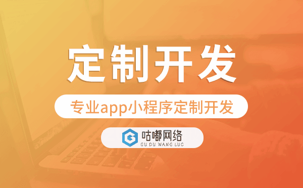 专业app小程序定制开发,重庆实体公司源码交付