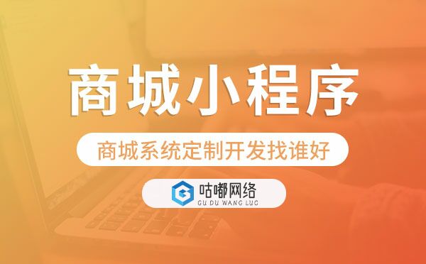 商城系统定制开发找谁好?商城小程序定制